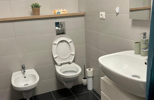 Ramnicu Valcea Apartment | Pet-Friendly Garsoniera Brother’s with Top Guest Rating