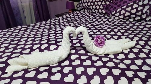 Baile Felix Apartment | Exceptional Stay at Garsoniera Cristina - Family Friendly!