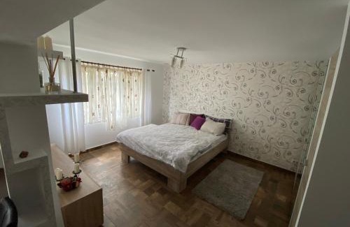 Lupeni Apartment | Relaxing Retreat in Serene Straja-Lupeni - Pet Friendly Stay