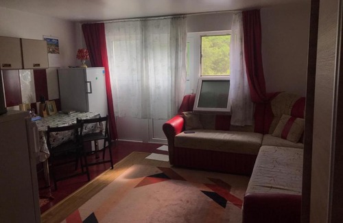 Prajila Apartment | Cozy Garsoniera Lazaroiu: Perfect for Families on a Budget