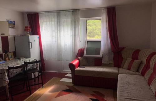 Prajila Apartment | Cozy Garsoniera Lazaroiu: Perfect for Families on a Budget