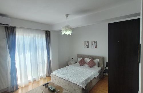 Sector 2 Apartment | Garsoniera Spital Fundeni-Dragonul Rosu