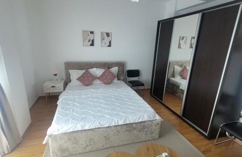 Sector 2 Apartment | Garsoniera Spital Fundeni-Dragonul Rosu