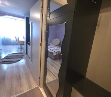 Zalau Apartment | Garsoniera-studio in Zalău