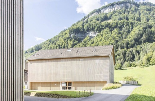 Mellau Apartment | Gartenglück - Waterfall Apartments