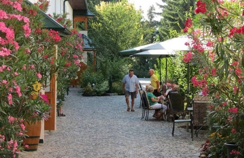 Morbisch am See Cottage | Gartenpension Fischl: Comfortable Double Room with Ocean View