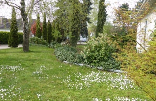 Bissersheim House | Gästehaus Blatner: Comfort double room with terrace