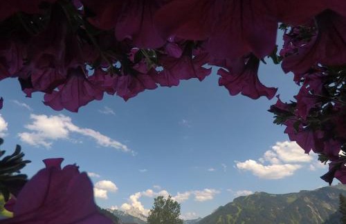 Tannheim House | Cozy Gastehaus Reichle with Ocean View & Family-Friendly Vibes