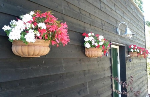 Den Hout House | Gastenverblijf Houtse Pad - Guest Rated 9/10
