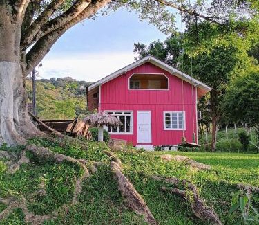 Doutor Pedrinho House | Child-Friendly Gasthaus Heimat: Guest Rated 9.8/10