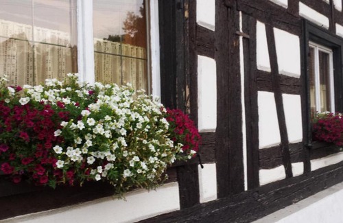 Neufra House | Budget-Friendly Gasthaus Rössle with Restaurant & Kitchen