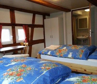 Neufra House | Budget-Friendly Gasthaus Rössle with Restaurant & Kitchen