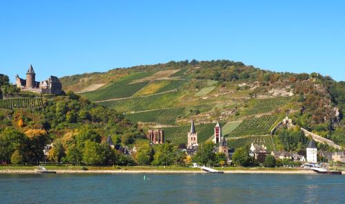 Oberwesel House | Top-Rated Gasthaus Weingut Stahl: Pet-Friendly Retreat