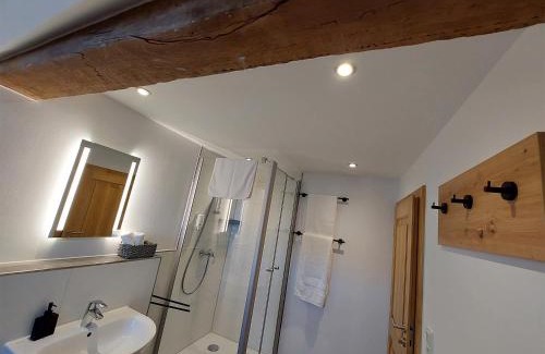 Moenchberg Apartment | Pet-Friendly Gasthaus zum Ochsen with 9/10 Guest Rating