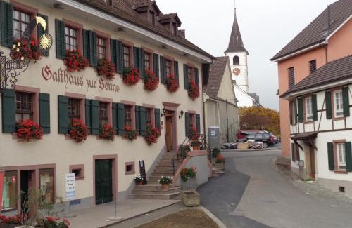 Aesch Hotel | Discover Gasthaus zur Sonne: Family-Friendly & Pet Welcoming