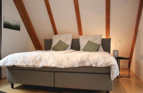 Rothenburg ob der Tauber Hotel | Discover Gasthof zum Grünen Baum: Pet-Friendly Retreat