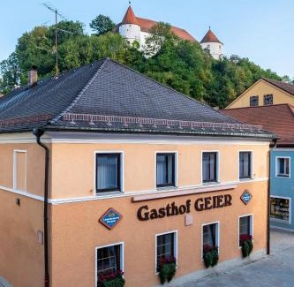 Worth an der Donau Hotel | Discover Gasthof Geier: Pet & Child Friendly Retreat