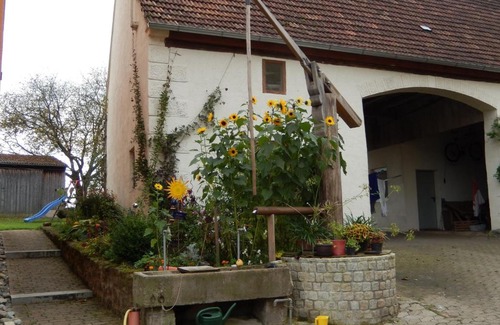 Dinkelsbuehl Hotel | Discover Gasthof Goldenes Rössle: Family-Friendly Retreat