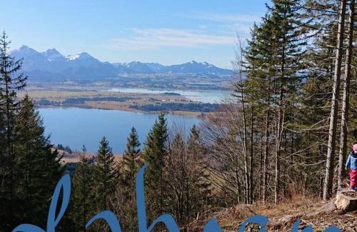 Steingaden House | Welcoming Gasthof Graf: Pet-Friendly Stay with Dining Options