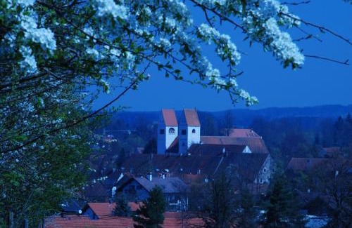 Steingaden House | Welcoming Gasthof Graf: Pet-Friendly Stay with Dining Options