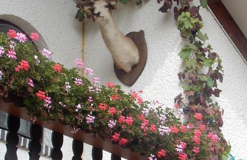 Diepenbeek Bed & Breakfast | Discover Gasthof Lederhose: 8.8/10 & Pet-Friendly Retreat