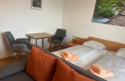 Weyregg am Attersee Hotel | Pet-Friendly Gasthof with Seeterasse & Family Appartements