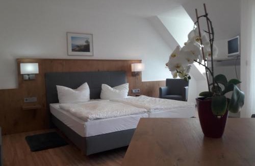 Obernzenn Hotel | Discover Gasthof Pension Grüne Au: Family-Friendly Retreat