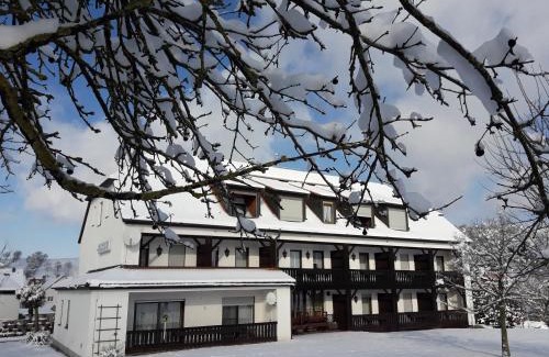 Obernzenn Hotel | Discover Gasthof Pension Grüne Au: Family-Friendly Retreat