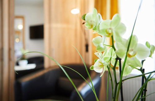 Friedenweiler Hotel | Experience Comfort at Gasthof & Pension Steppacher