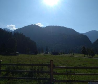 Bad Ischl Hotel | Top-Rated Gasthof Rettenbachalm: Family & Pet Friendly Retreat
