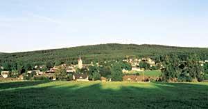 Zell im Fichtelgebirge House | Pet-Friendly Gasthof Rotes Roß with Breakfast and Dining