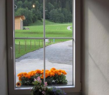 Haeselgehr Hotel | Discover Gasthof Sonne Häselgehr: Pet-Friendly Retreat