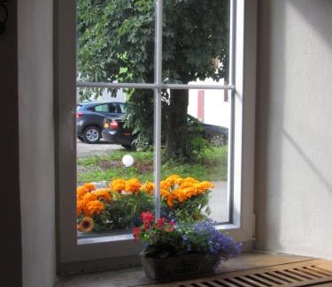 Haeselgehr Hotel | Discover Gasthof Sonne Häselgehr: Pet-Friendly Retreat