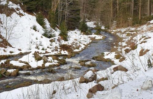 Wildenthal House | Relaxing Stay at Gasthof und Pension Hammerschänke