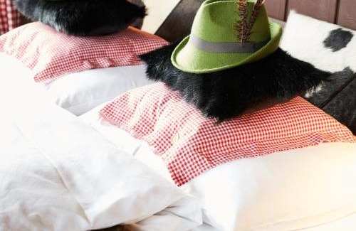 Birmenstorf Hotel | Discover Gasthof zum Bären: Family-Friendly Retreat