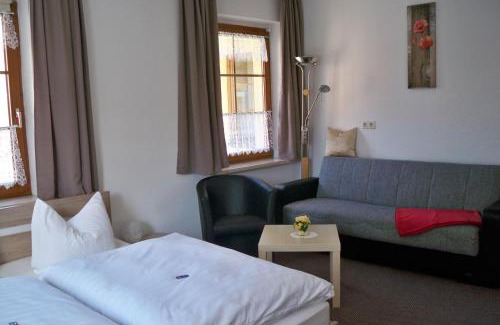 Klingenthal Hotel | Discover Gasthof zum Döhlerwald: Pet-Friendly Haven Awaits