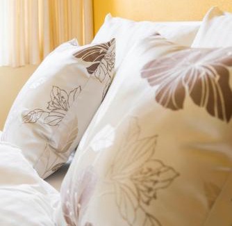 Goppertsweiler House | Discover Gasthof zum Hirsch: Pet-Friendly with Breakfast