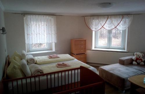 Bertsdorf-Hoernitz House | Pet-Friendly Retreat at Gaststätte & Pension Jägerwäldchen