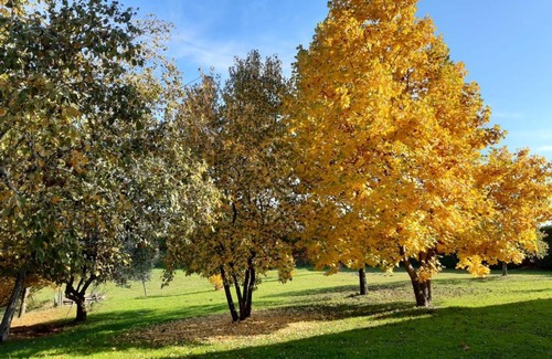 Susegana House | Discover GATTO IN VIGNA: Rated 9.3, Pet & Child Friendly