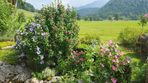 Hinterstoder House | Gausrab: Guest Rated 9.3 with Pet-Friendly Amenities