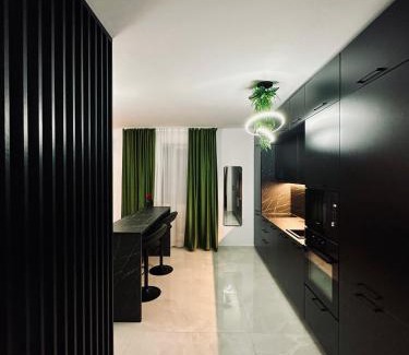 Timisoara Apartment | Pet-Friendly GAV Studio: Guest Rated 10/10 for Comfort