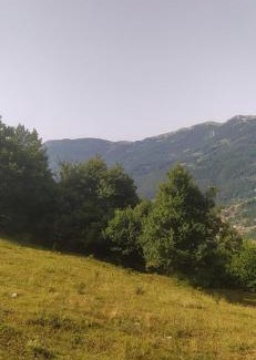 Mojkovac House | Gazdinstvo Moracanin