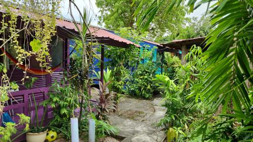 Lubok Buaya House | Oceanfront Gecko Guesthouse with Family-Friendly Vibes