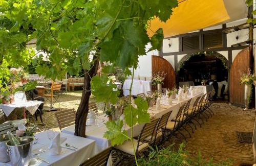 Karben Apartment | Discover Geibelhof: Pet and Child-Friendly Getaway