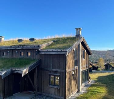 Geilo House | Discover Geilo: Family-Friendly Cabin at Budalstølen