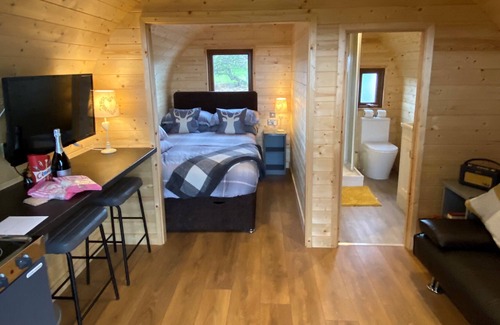 Hayton Cabin | Family-Friendly Gelt Pod: Glamping Near Hadrian's Wall