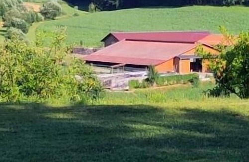 Grafenau Apartment | Cozy Country Farm Apartment in Bavaria with Two Bedrooms