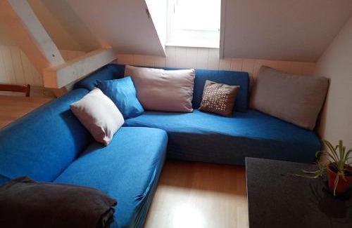 St. Gallen House | Cozy Rooftop Apartment: Pet and Child Friendly Retreat