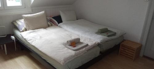 St. Gallen House | Cozy Rooftop Apartment: Pet and Child Friendly Retreat