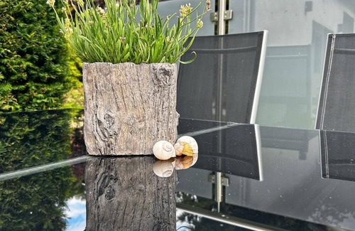 Emsetal Apartment | Gemütliche Ferienwohnung am Bach